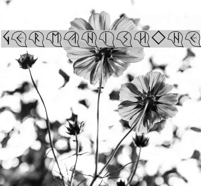 GermanishOne Font examples