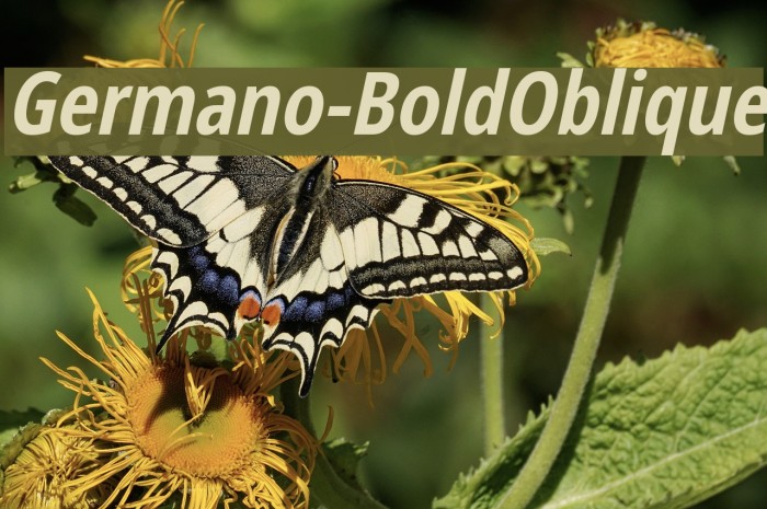 Germano-BoldOblique Font examples
