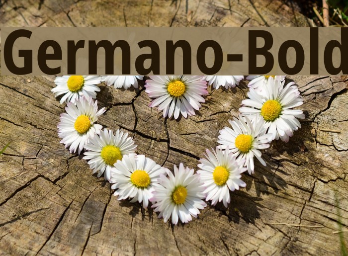 Germano-Bold Font examples