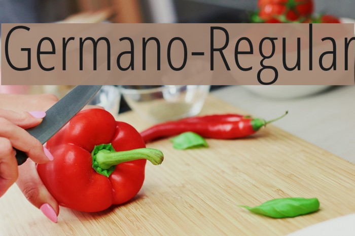 Germano-Regular Font examples