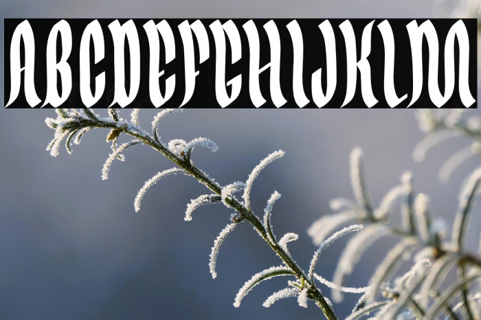 Germany Gothic Example 3