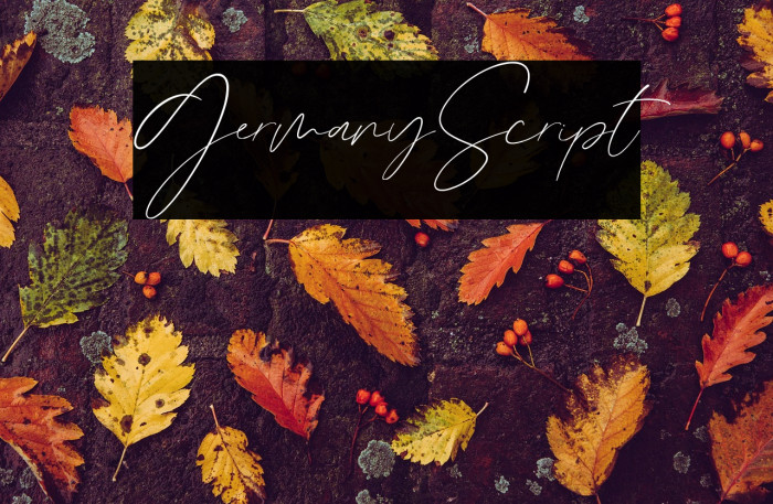 GermanyScript Example 3