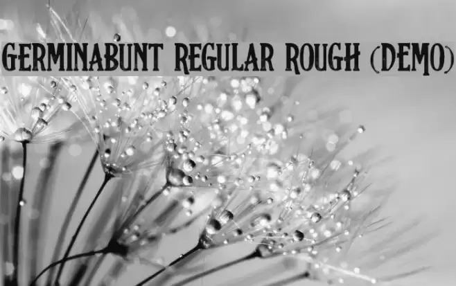 Germinabunt Regular Rough [DEMO] Font examples