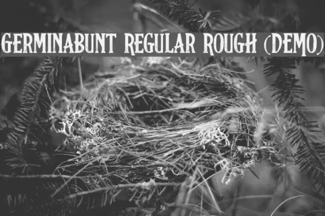 Germinabunt Regular Rough [DEMO] Font examples