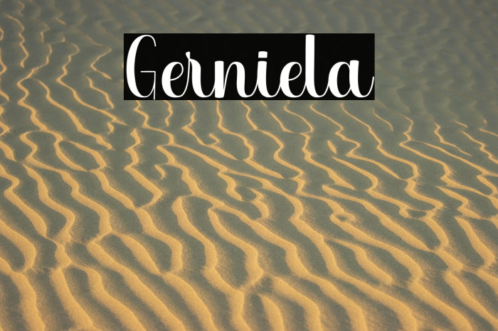 Gerniela Example 1