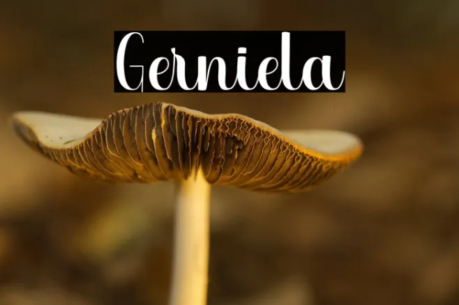 Gerniela Example 3