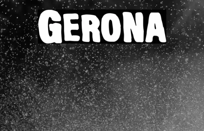 Gerona Polices examples