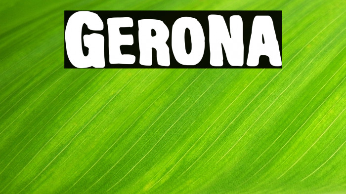 Gerona Example 2