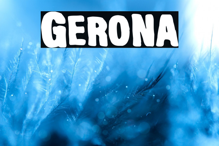 Gerona Example 3