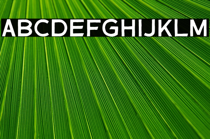 GeronideRegularDEMO Example 3