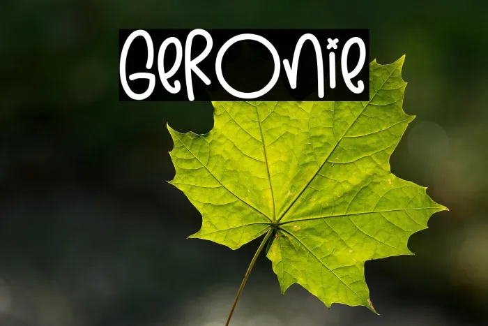 Geronie Example 1