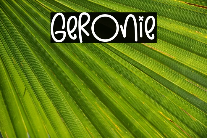 Geronie Example 2