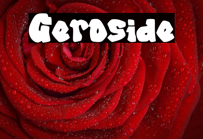 Geroside Example 3
