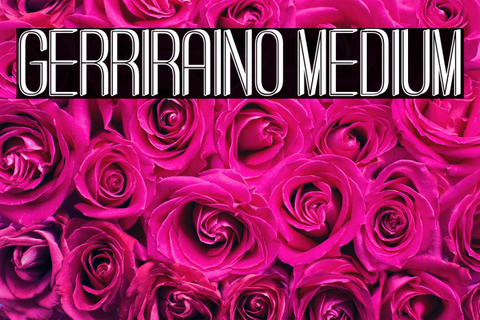 Gerriraino Medium Example 1