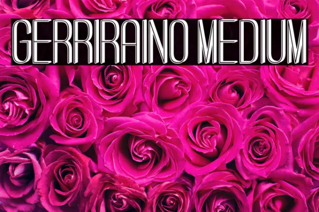 Gerriraino Medium Example 1