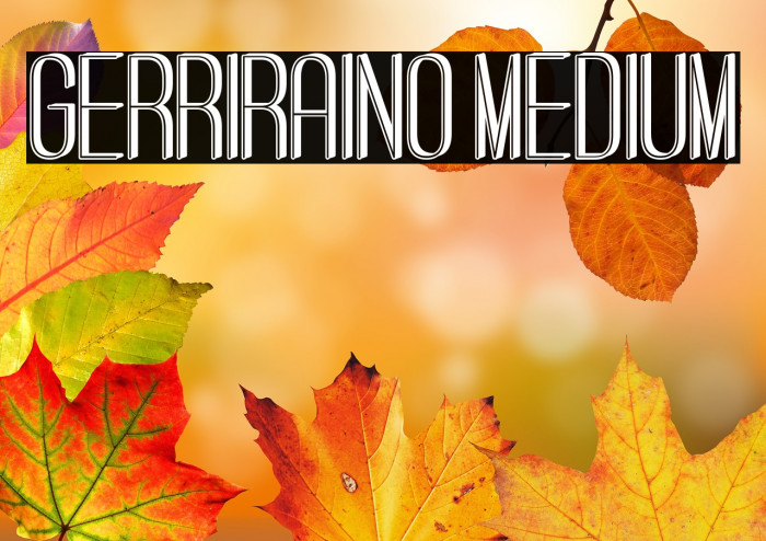 Gerriraino Medium Example 2