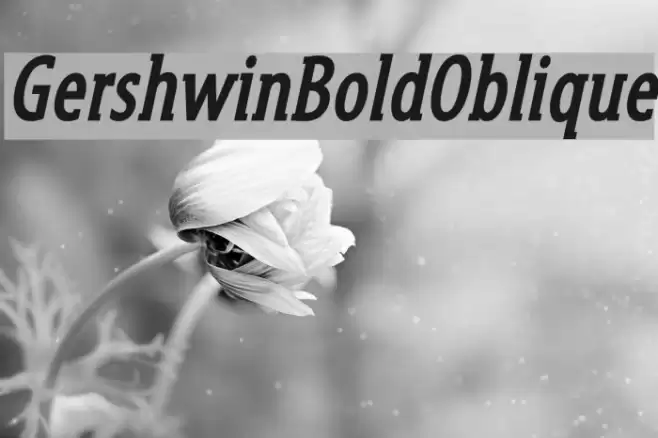 GershwinBoldOblique Font examples