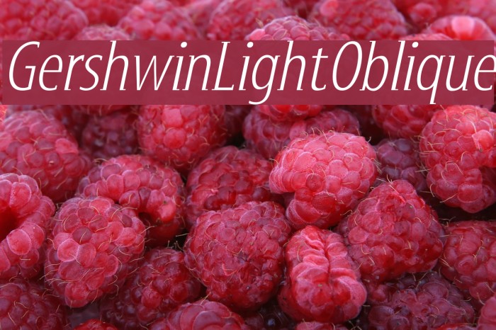 GershwinLightOblique Font examples