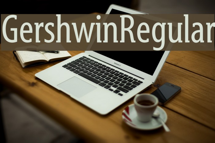 GershwinRegular Example 1