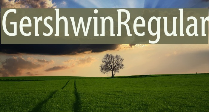 GershwinRegular Example 2