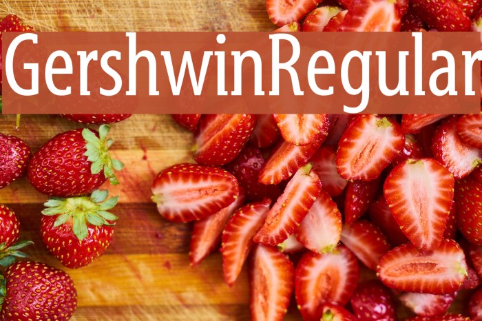 GershwinRegular Example 3