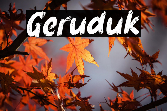 Geruduk Example 2
