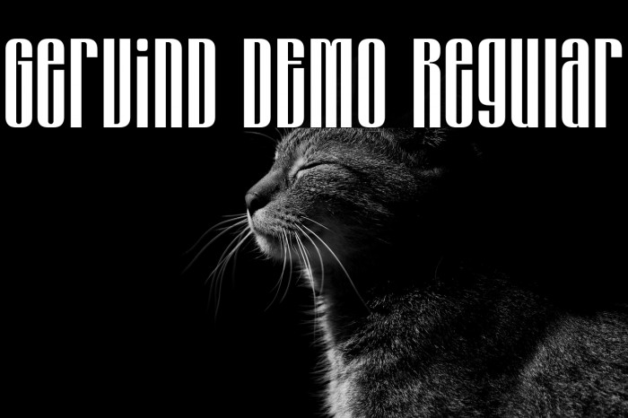 Gervind DEMO Regular フォント examples