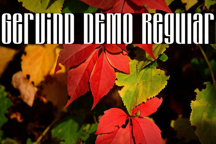 Gervind DEMO Regular フォント examples