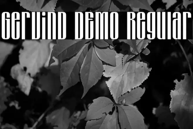 Gervind DEMO Regular  examples