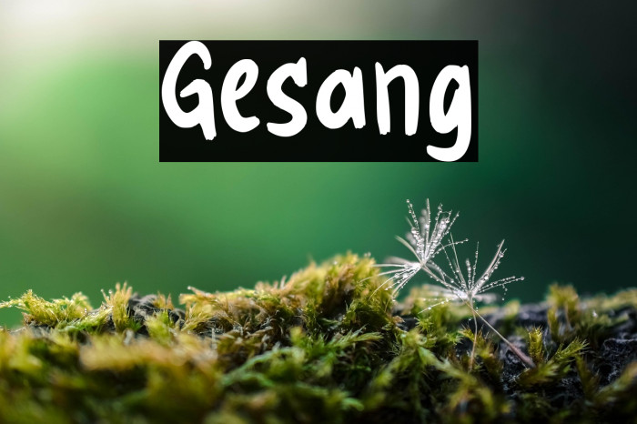 Gesang Example 2