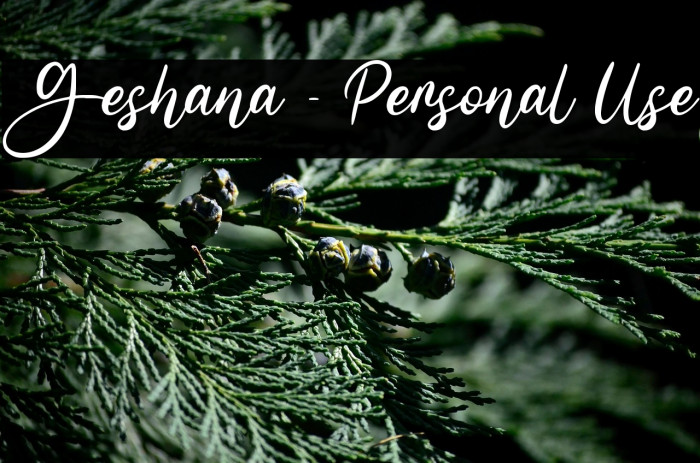 Geshana - Personal Use Example 1
