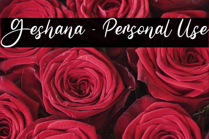 Geshana - Personal Use Example 2