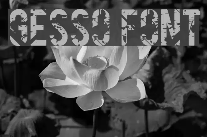 Gesso Font examples