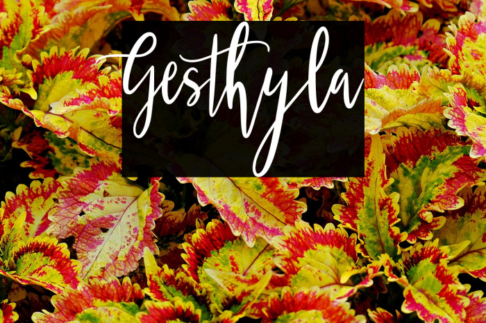 Gesthyla Example 2