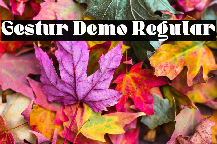 Gestur Demo Regular Example 3