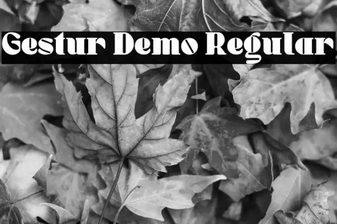 Gestur Demo Regular  examples