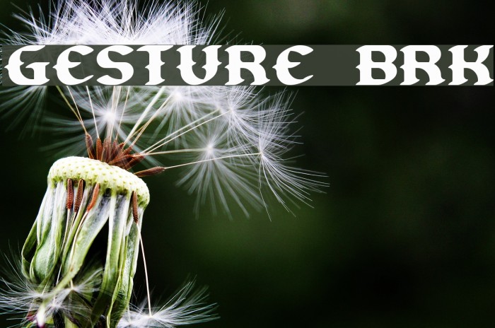 Gesture BRK Font examples
