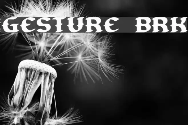 Gesture BRK خط examples
