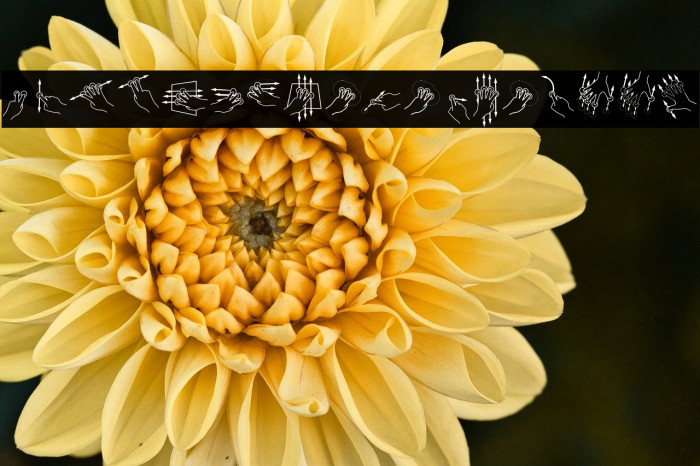 Gesture-Glyphs Example 3