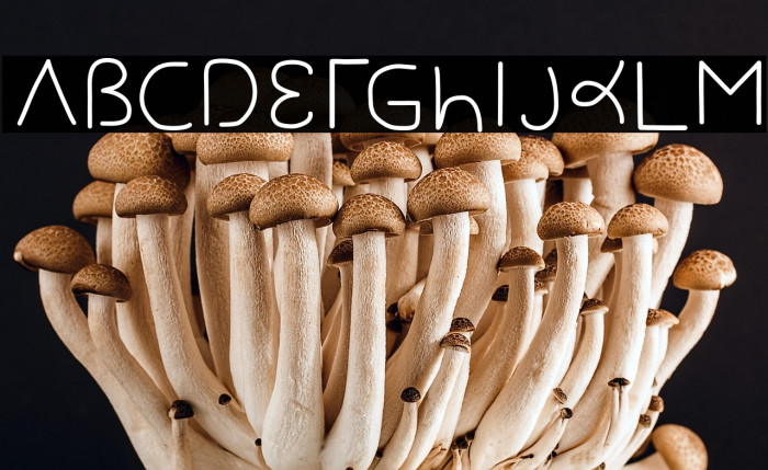 Gesture-Sans Example 3