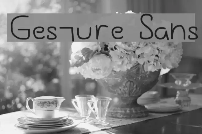 Gesture Sans Font examples