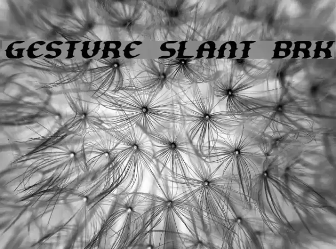 Gesture Slant BRK خط examples