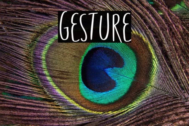 Gesture Example 1