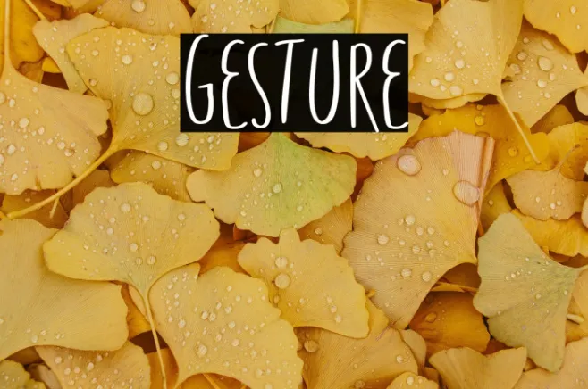 Gesture Example 3