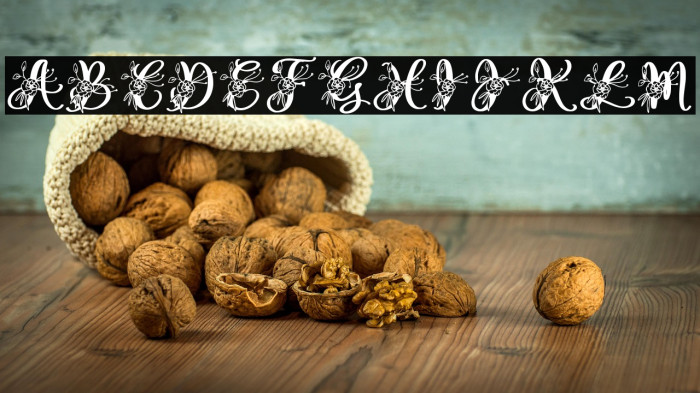 Gesya Monogram Example 2