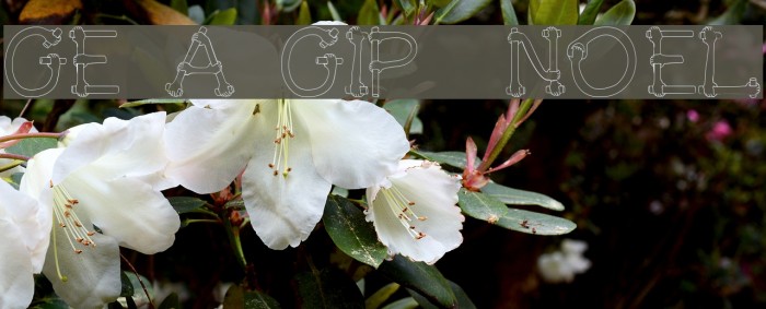 Get A Grip Novelty Font examples