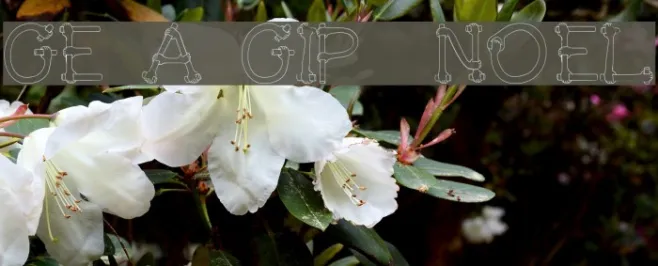 Get A Grip  Novelty Example 3