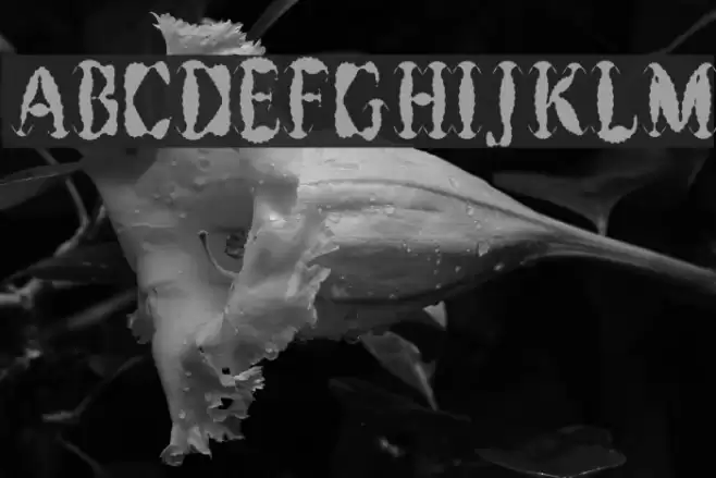 Get Burnt フォント examples