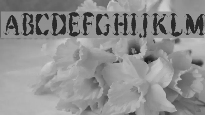 Get Burnt フォント examples