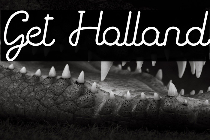 Get Holland Example 2